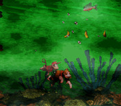 Donkey Kong Country for Super NES - The water sure is murky here.