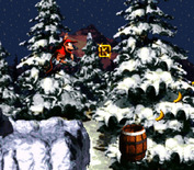 Donkey Kong Country for Super NES - Collect letters and spell KONG for a bonus life.