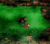 Donkey Kong Country for Super NES - Level exit.