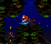 Donkey Kong Country for Super NES - I found a friendly swordfish.