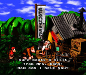 Donkey Kong Country for Super NES - Cranky can sometimes provide you hints.