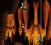 Donkey Kong Country for Super NES - Don't get stung hanging on the ropes!