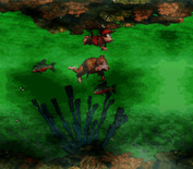Donkey Kong Country for Super NES - Avoid the deadly fish!