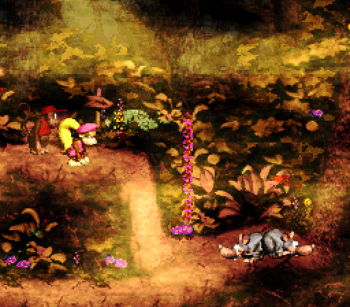 Donkey Kong Country 2: Diddy's Kong Quest Super NES Screenshot: It's foggy here...