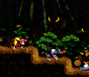 Donkey Kong Country 2: Diddy's Kong Quest for Super NES - Don't get chomped!