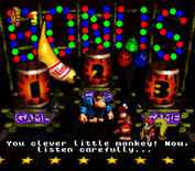 Donkey Kong Country 2: Diddy's Kong Quest for Super NES - Care to try your hand at a bonus challenge?