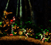 Donkey Kong Country 2: Diddy's Kong Quest for Super NES - Here come some crocs...