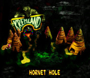 Donkey Kong Country 2: Diddy's Kong Quest for Super NES - Entering the hornet's nest...