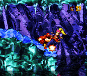 Donkey Kong Country 2: Diddy's Kong Quest for Super NES - Oops, all I did was annoy this guy!