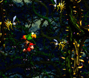 Donkey Kong Country 2: Diddy's Kong Quest for Super NES - This bird carries you around...