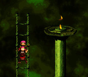 Donkey Kong Country 2: Diddy's Kong Quest for Super NES - Climbing ropes...then I can jump to that platform...