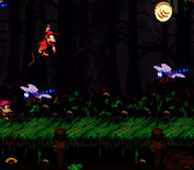 Donkey Kong Country 2: Diddy's Kong Quest for Super NES - Jumping over bugs.