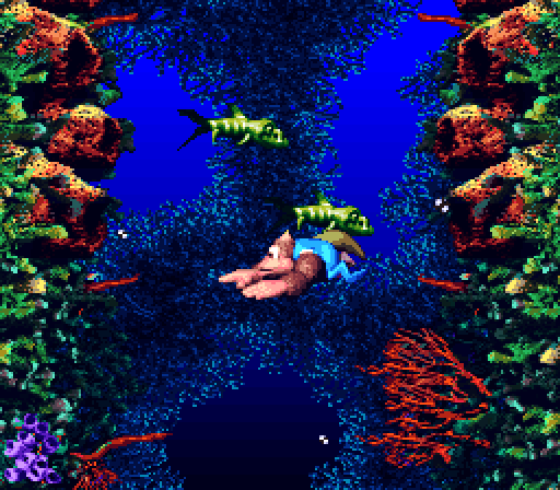 Donkey Kong Country 3: Dixie Kong's Double Trouble! Super NES Screenshot: Don't touch the fish!