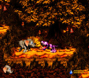 Donkey Kong Country 3: Dixie Kong's Double Trouble! for Super NES - Elephant faces off against a chompy thing!