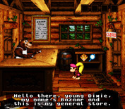 Donkey Kong Country 3: Dixie Kong's Double Trouble! for Super NES - Stop in at the general store.