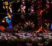 Donkey Kong Country 3: Dixie Kong's Double Trouble! for Super NES - These ropes move, be careful...
