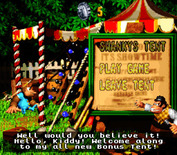Donkey Kong Country 3: Dixie Kong's Double Trouble! for Super NES - Care for a mini-game?