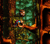Donkey Kong Country 3: Dixie Kong's Double Trouble! for Super NES - The barrels with stars are a mid-level checkpoint.