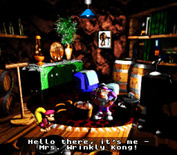 Donkey Kong Country 3: Dixie Kong's Double Trouble! for Super NES - Visiting Mrs. Wrinkly Kong.