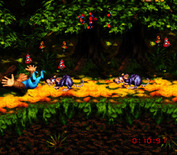 Donkey Kong Country 3: Dixie Kong's Double Trouble! for Super NES - Oops, a rat got me!