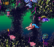 Donkey Kong Country 3: Dixie Kong's Double Trouble! for Super NES - A fish is following me, I need to make sure it remains well fed...