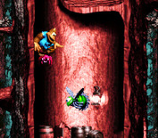Donkey Kong Country 3: Dixie Kong's Double Trouble! for Super NES - Leaping spiders lift you up!