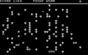 Fuzzy Worm for IBM PC/Compatibles - Watch out for that spider!