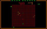 Worm Burner for IBM PC/Compatibles - Blast all of the creepers before they get you!