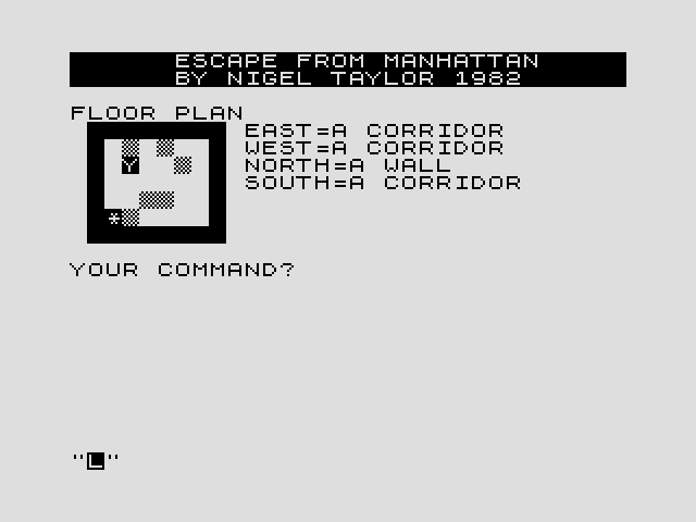 Escape From Manhattan ZX81 / Timex Sinclair 1000 Screenshot: Enter a command to explore.