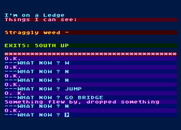 Arrow of Death: Part II for Atari 8-bit - Straggly weed is here...should I take it?
