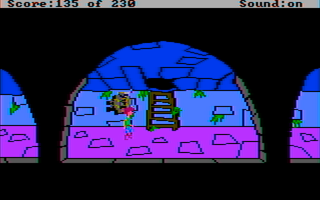 Black Cauldron, The IBM PC/Compatibles Screenshot: A ladder! I can get out here...
