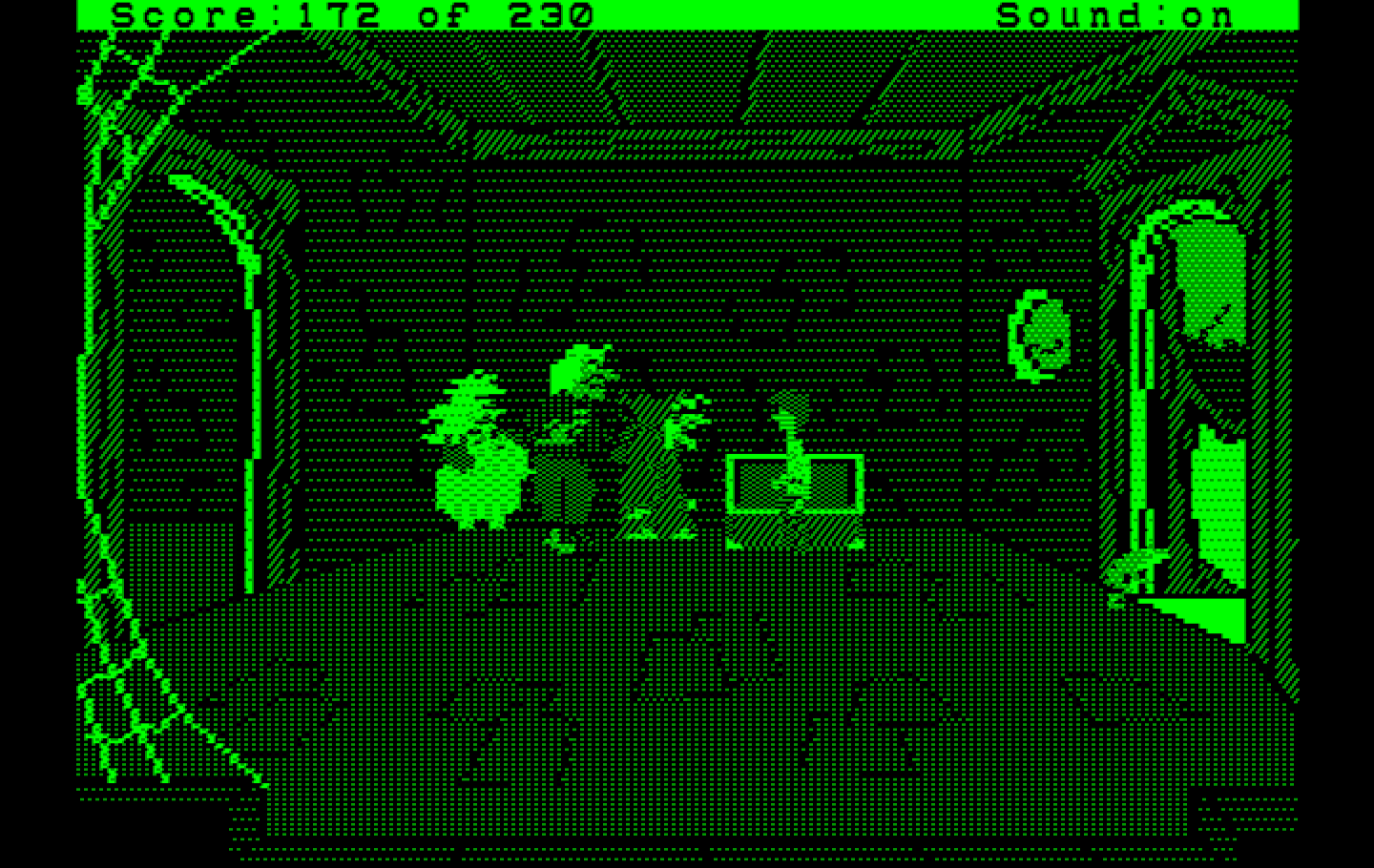 Black Cauldron, The IBM PC/Compatibles Screenshot: These witches are upset that I let their frogs escape.