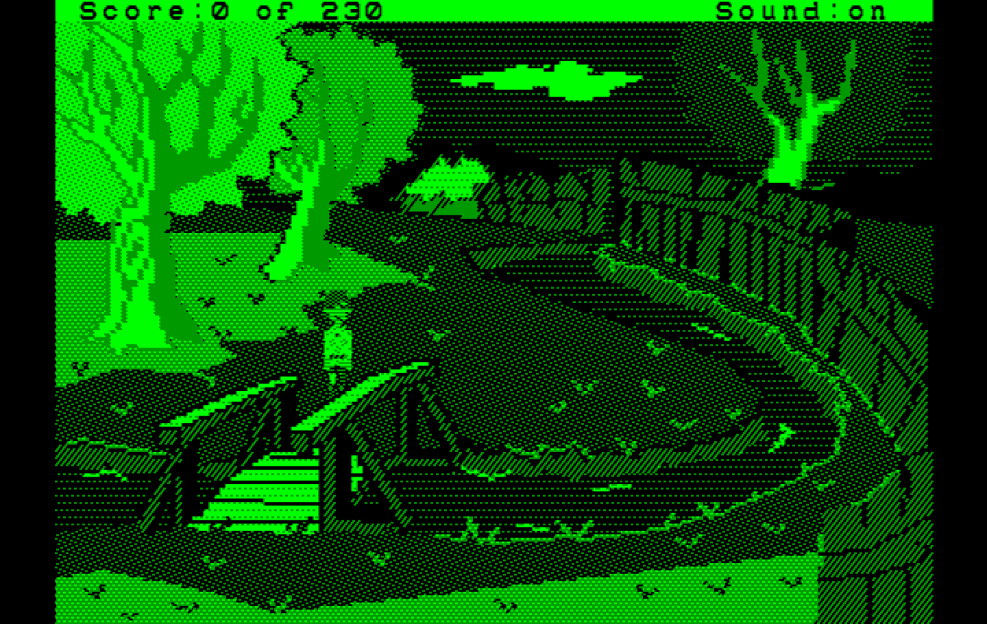 Black Cauldron, The IBM PC/Compatibles Screenshot: The bridge leaving my home...