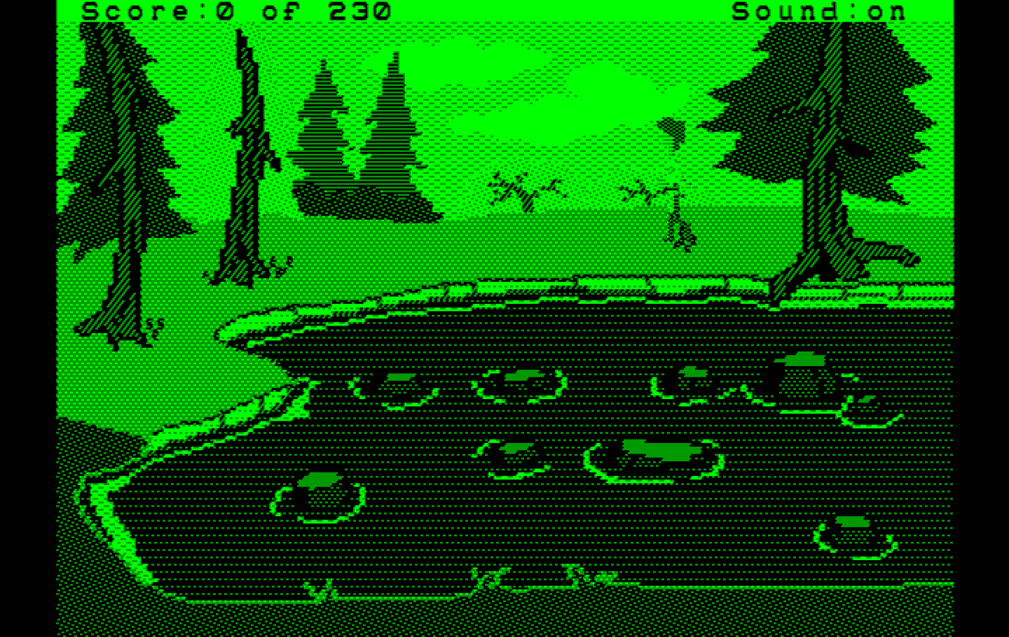 Black Cauldron, The IBM PC/Compatibles Screenshot: Found a pond...