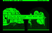 Black Cauldron, The for IBM PC/Compatibles - I could really use some food about now...