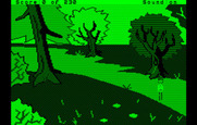 Black Cauldron, The for IBM PC/Compatibles - Exploring the wilderness, but not much here...