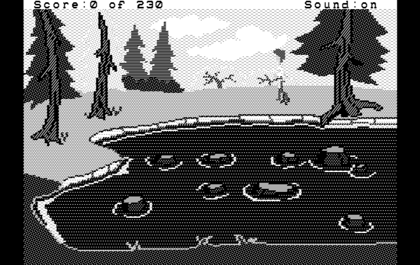 Black Cauldron, The IBM PC/Compatibles Screenshot: Found a pond...