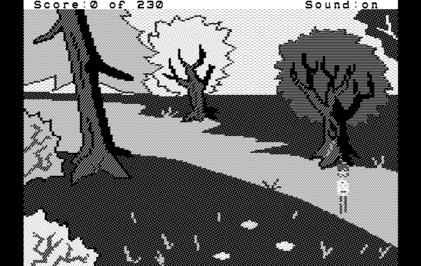 Black Cauldron, The IBM PC/Compatibles Screenshot: Exploring the wilderness, but not much here...