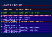 Wizard of Akyrz, The for Atari 8-bit - I found a sword!