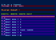 Feasibility Experiment for Atari 8-bit - Found a large ruby!