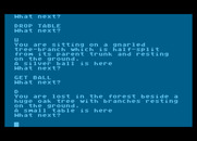 Adventure Quest for Atari 8-bit - Found something in the trees.