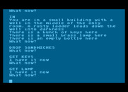 Colossal Adventure for Atari 8-bit - A lamp! Those are always useful in adventure games...