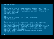 Colossal Adventure for Atari 8-bit - Lost in the forest...