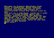 Dungeon Adventure for Amstrad CPC - Starting screen.
