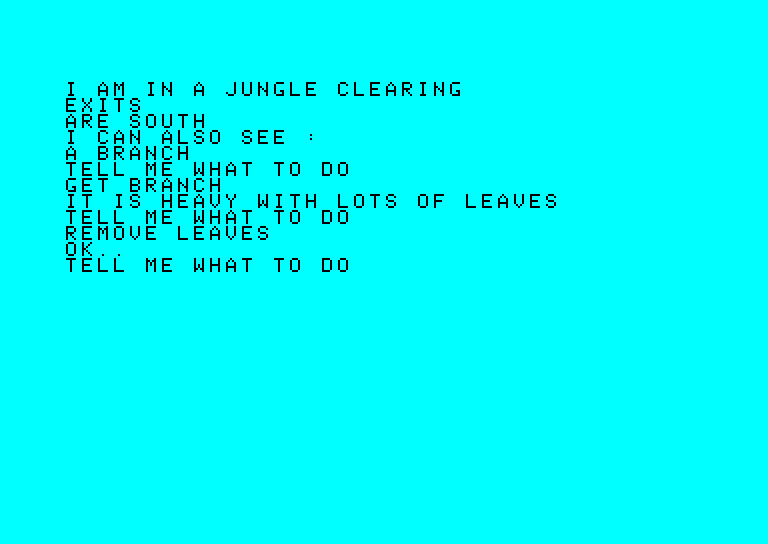 Adventure B Amstrad CPC Screenshot: First, let's grab this branch...could be useful later!