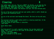 Giant Killer for Amstrad PCW - I'm in a clearing now...