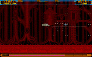 Anarchy for Amiga - The shooting continues...