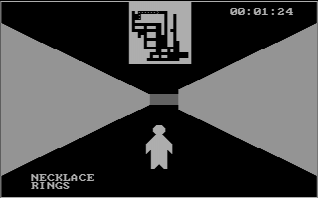 Treasure Hunt IBM PC/Compatibles Screenshot: You can optionally view the complete maze from overhead...