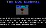 FUNdamentals, The for IBM PC/Compatibles - About the DOS diskette.