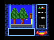 Star Virgin for MSX - Entering a town.